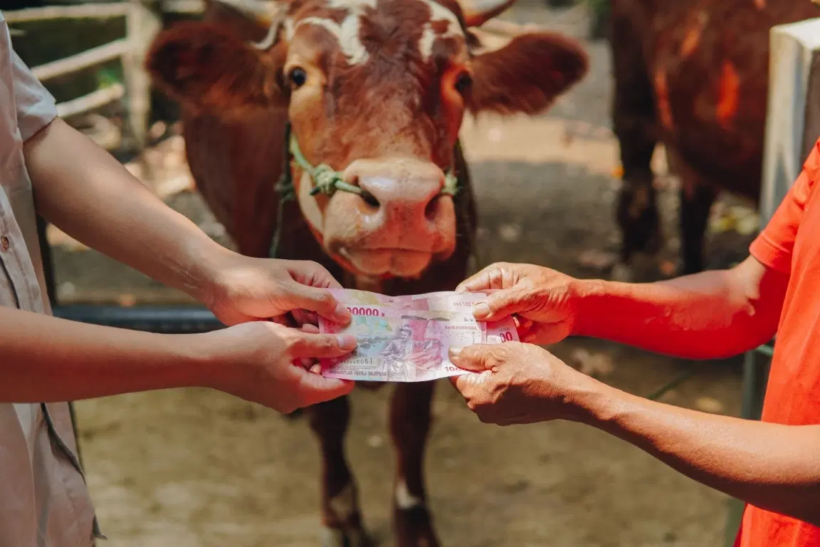 Meningkatkan Inklusi Keuangan